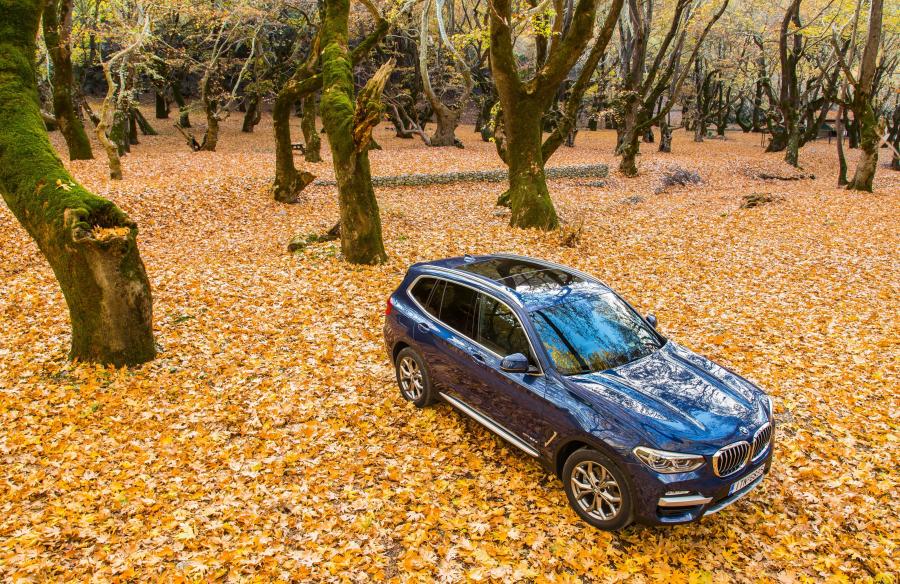  BMW X3 xDrive20d xLine (G01) 2017 года  (WW) (фото 37 из 40)